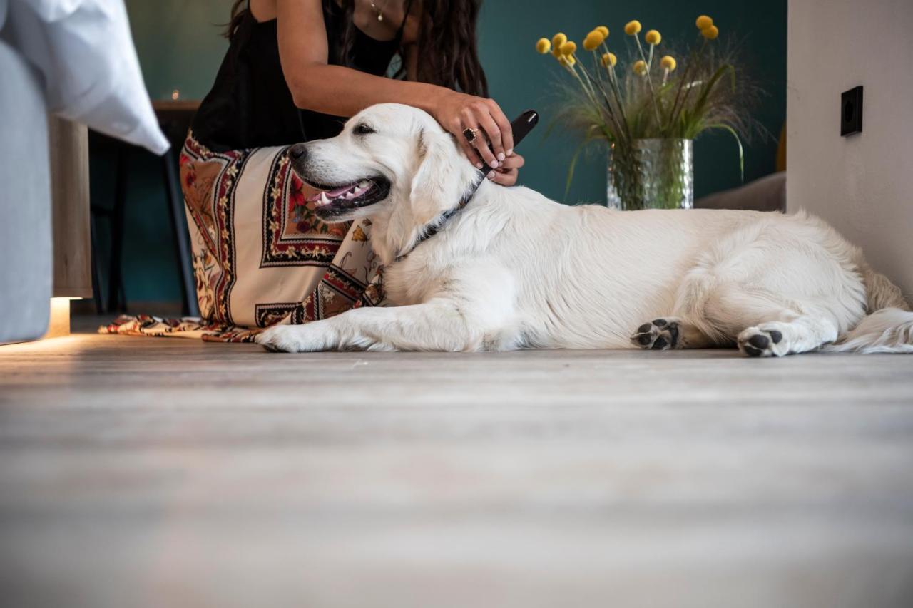 Sambucus Apartments -Premium Apartments For You And Your Dog Lana Extérieur photo